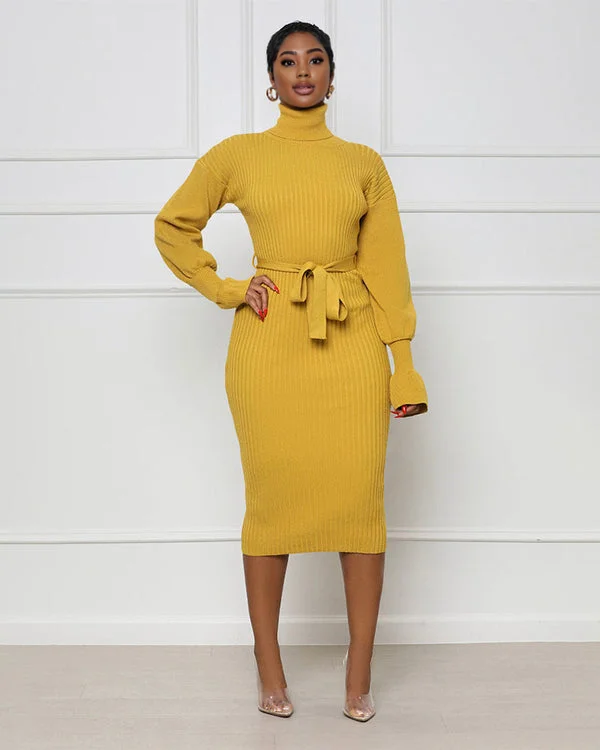 Fine Line High Neck Sweater Dress