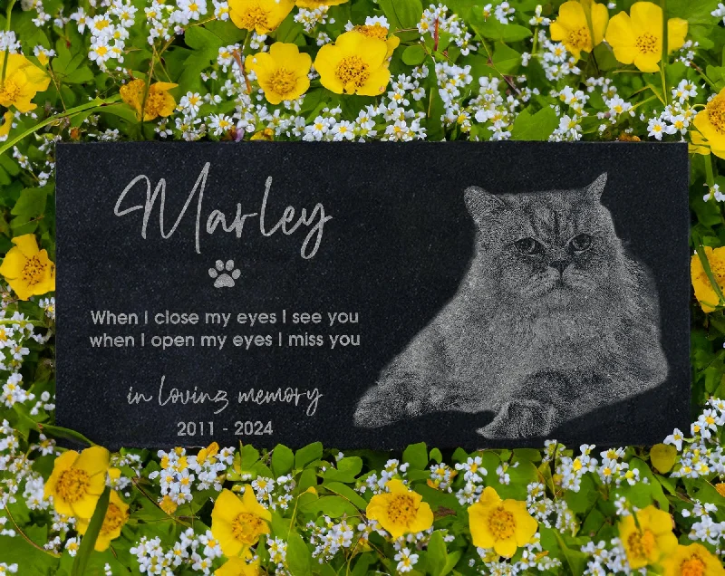Halloween - themed stockings for a spooky costumeCat Photo Memorial Stone w/ Engraved Portrait | Feline Remembrance Plaque | Kitten Tombstone Headstone | Tree Dedication for Lawn & Garden Halloween - themed stockings for a spooky costumeCat Photo Memorial Stone w/ Engraved Portrait | Feline Remembrance Plaque | Kitten Tombstone Headstone | Tree Dedication for Lawn & Garden