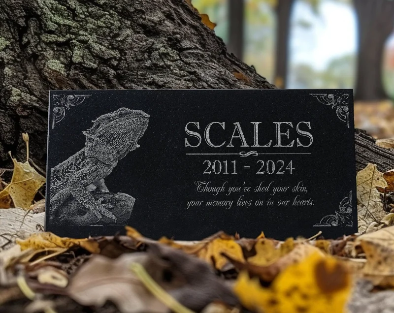 Pink stockings for a sweet and feminine appealCustom Reptile Memorial Stone | Personalized Photo Engraving for Lizards, Snakes, Turtles | Outdoor Garden or Indoor Display Tribute