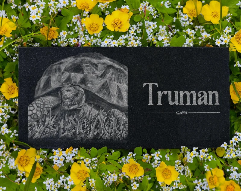 Custom Turtle Memorial Marker |  Tortoise Burial Marker Plaque | Pet Grave Markers Outdoor |  Reptile Remembrance Gift | Photo Keepsake